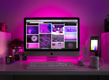 Web Development
